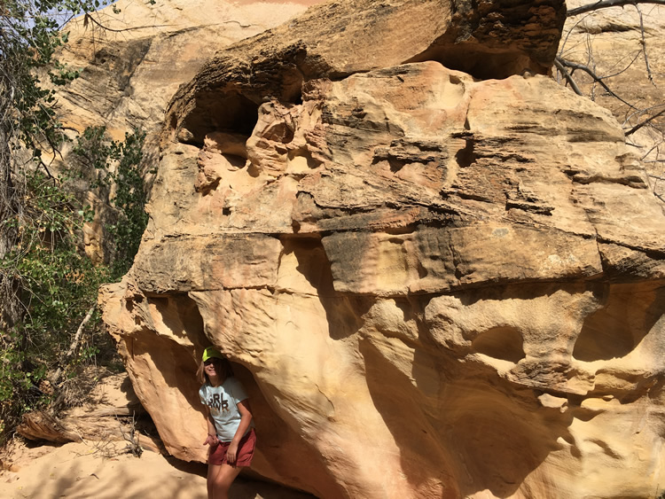 Capitol Reef National Park